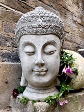 Large Beautifully Detailed