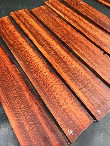 Snakewood acoustic electric - snakewood, /