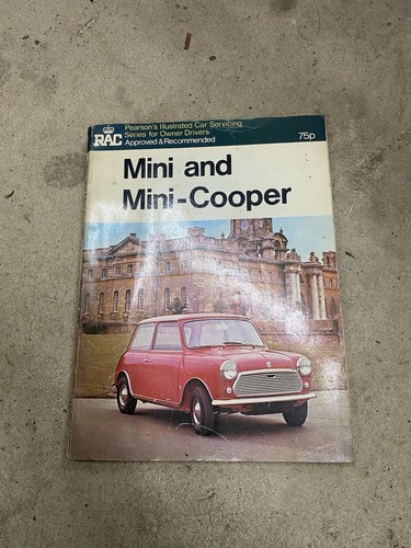 Mini rac car servicing owners - rac,