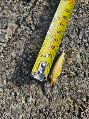 Rapala countdown super rare - rapala, countdown.