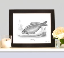 THE BISHOP Fishing Art Drawing