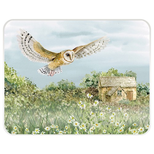 Tuftop national trust barn owl - tuftop,