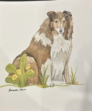 Shetland Sheepdog Original