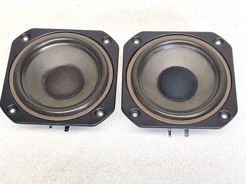 Pair vintage realistic - pair,