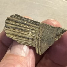 Saxon Bronze Brooch Fragment