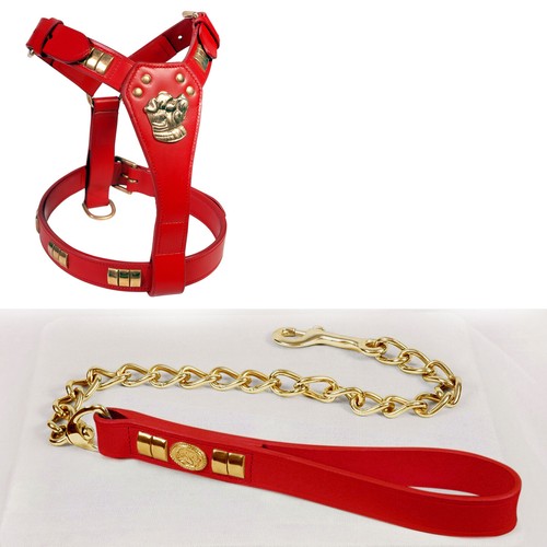 Staffy leather dog harness - staffy,