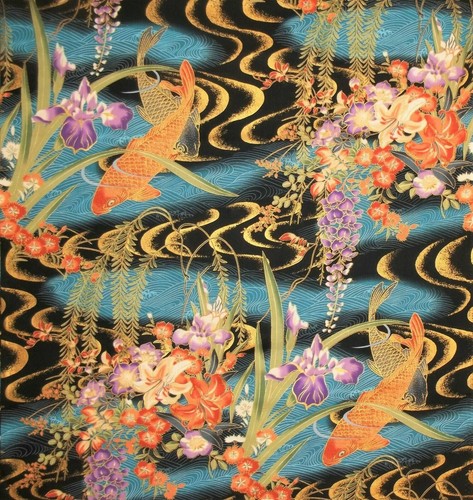 Japanese hoffman izumi koi - izumi,
