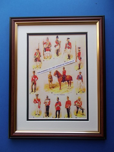 Regimental print framed - regimental,