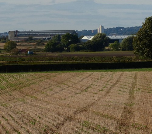 Photo 6x4 farmland the edge - farmland,