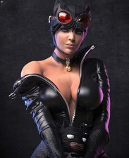 Catwoman Dc Comics | Garage