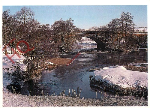 Picture postcard drymen - picture, postcard:
