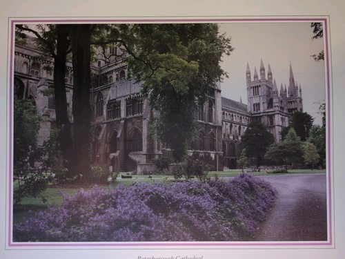 Peterborough cathedral art - peterborough,