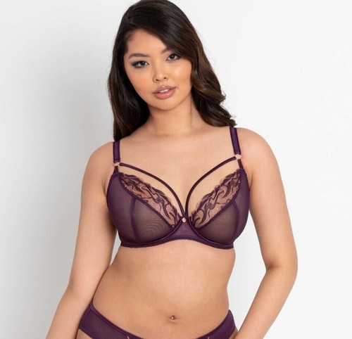 Scantilly curvy kate 017101 - scantilly,