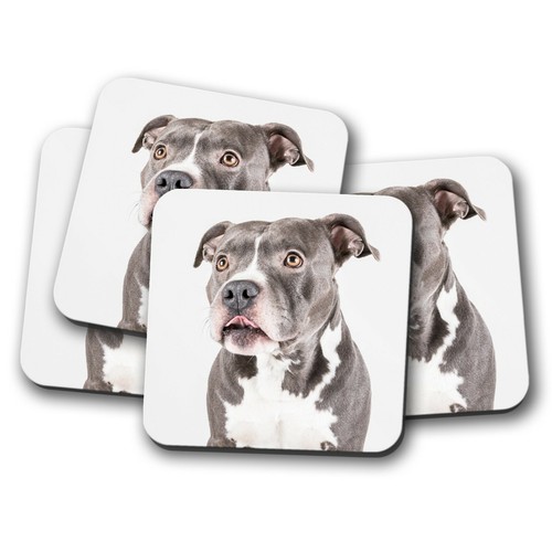 Set blue staffie - -,
