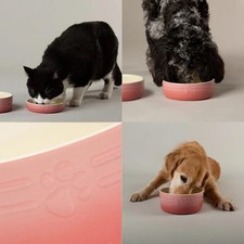 Dog Cat Food Bowl Pet All Breeds Sizes Water Saucer Ceramic Sleek Ombre Pink