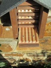 Bee hotel with 5 observation