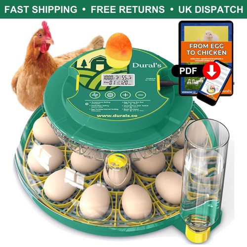 High performance egg incubator - egg,