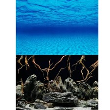 Marina Seascape/Natural Mystic