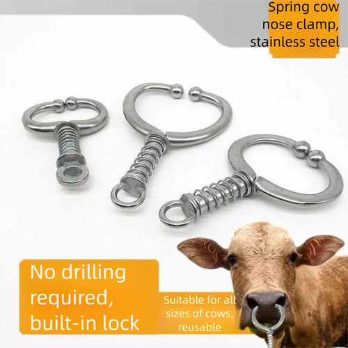 Livestock cattle nose - livestock, rings