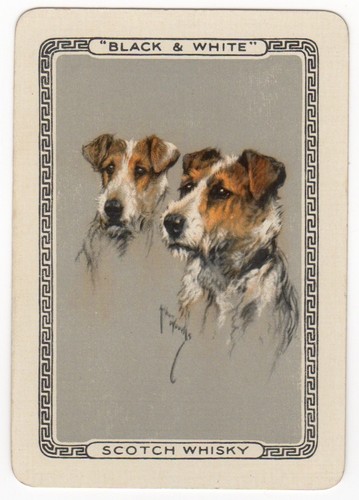 Playing cards single card - playing,
