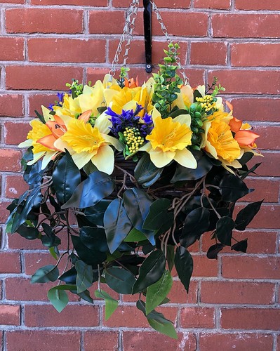 Hanging basket with daffodils - hanging,
