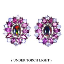 925 Sterling Silver Earrings