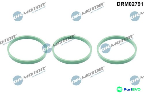 Motor automotive intake - automotive,