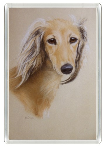 Saluki dog fridge magnet great - saluki,