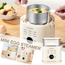 Layer egg boiler in - boiler, 9-in-1
