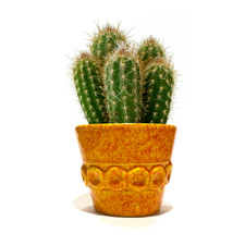 1970s Italian Pottery Planter