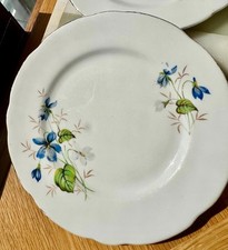 Salisbury Bone China cake