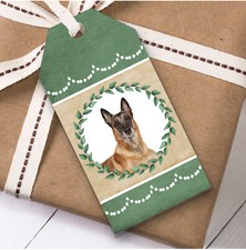 Belgian shepherd malinois - malinois, dog