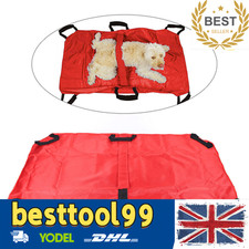 Emergency Pet Animal Dog