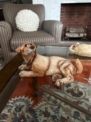 Breed apart yellow labrador - breed,
