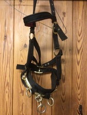 lunging cavesson. Very good condition. Plus lunge rope.