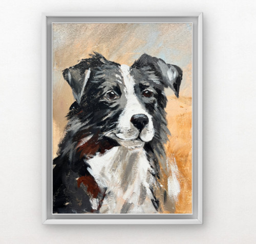 Original collie dog - original,