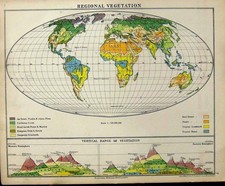 Original Old Vintage Print 1925 Map World Vegitation Flags Colonial Possessions