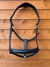 Black Anatomical Leather Horse