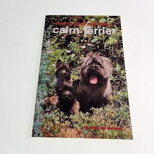 Raise and train cairn - train, terrier