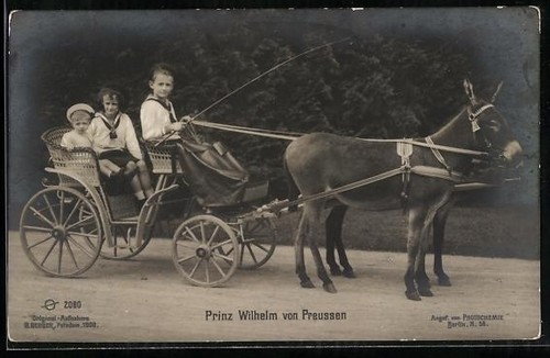 Prince wilhelm prussia - prince,