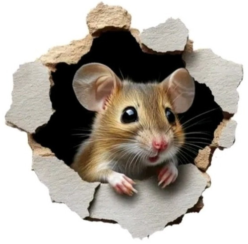 Peeking mouse wall - wall, door
