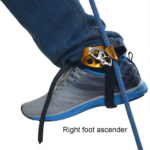 Carabiner caving gear - carabiner,