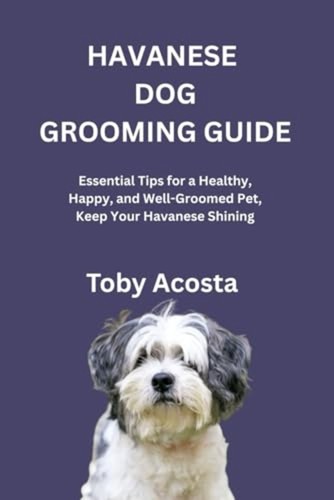 Havanese dog grooming guide - havanese,