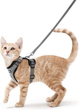 rabbitgoo Pet Cat Harness Dog Adjustable Reflective Vest Escape Proof Grey M