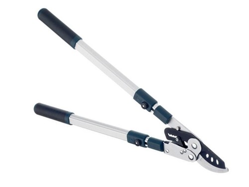 Bulldog bd3113tw evergreen - bd3113tw,