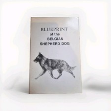 Blueprint of the BELGIAN