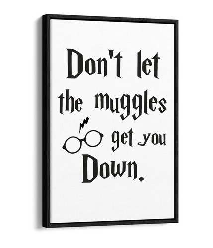 Muggles get you down harry - "muggles,