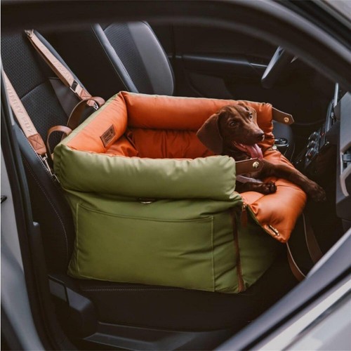 Dog booster car - dog,