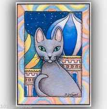 Russian blue cat - russian,