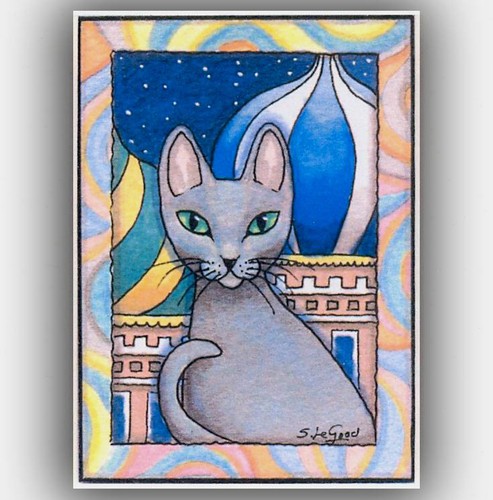 Russian blue cat - russian,